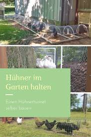 Darf ich in meinem garten überhaupt hühner halten? Wer Huhner Im Eigenen Garten Halten Will Muss Einige Voraussetzungen Erfullen Neben Dem Festen Huhnerst Huhner Im Garten Huhnerhaltung Im Garten Huhnergehege