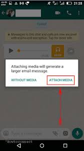 Some phones make editing your videos easier and others have features exclusive to them. How To Download Whatsapp Videos Audio To Pc