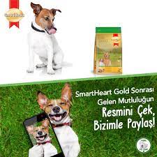 hektas pet care posts facebook