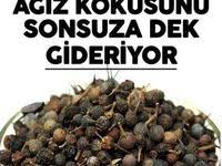 Sifa Kaynagi Pirasanin Harika 9 Faydasi 2020 Beslenme Saglikli Beslenme Saglikli Yasam