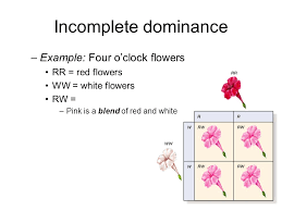 Check spelling or type a new query. When Genetics Is Not Simple Ppt Video Online Download