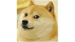 Doge shirt roblox the t shirt. Such Doge Roblox Doge Meme On Me Me