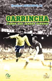 The word garrincha itself means wren. Garrincha La Ange Aux Jambes Tordues Miri French Edition Meranville Mathieu 9782916868554 Amazon Com Books