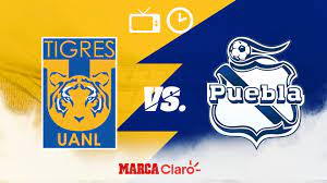 Suscríbete al canal de youtube gratis ; Partidos De Hoy Tigres Vs Puebla Hoy En Vivo Horario Y Donde Ver El Partido De La Jornada 4 Del Apertura 2020 De Liga Mx Marca Claro Mexico