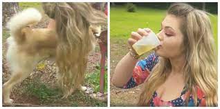 Us Woman Drinks Dog S Urine Claims It Helps Her Skin Glow Cures Acne And Good For Cancer Patients Video