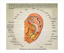 reflexology chart templates 9 free pdf documents download