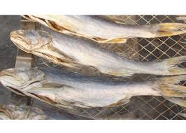 Sur.ly for wordpress sur.ly plugin for wordpress is free of charge. é©¬å‹é±¼çš„è¥å…»ä»·å€¼ é©¬å‹é±¼çš„åšæ³• å®¶å±…ç™¾ç§' å¤ªå¹³æ´‹å®¶å±…ç½'