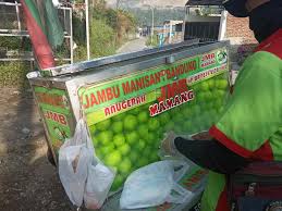 Jambu kristal (psidium guajava), adalah varietas atau jenis lain dari buah jambu biji yang sudah lama ada di indonesia. Jmbu Kristal Manisan Jambu Cemilan Dan Jambu Kristal Facebook
