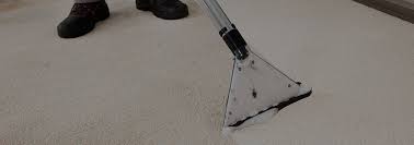 At icarpet clean and pest control, we have a plethora of varied services in store for you, one of the main ones being carpet cleaning and pest control in brisbane. Houseproud Carpet Cleaning And Pest Management