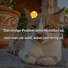 Á Beliebte Dumme Spruche