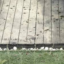 Without diligent and effective preparation, your refinished product is up against obstacles like dust, wax. Cleaning Wooden Patios Karcher