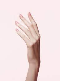 Choose from over a million free vectors, clipart graphics, vector art images, design templates, and illustrations created by artists worldwide! 5 Beauty Skills Every Woman Must Master Hand Reference Hand Photography Hand Pose