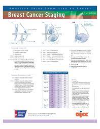 Pin On Breast Cancer Staging