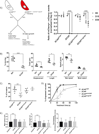 Staff support sap rp 6,0 jt; Differential Requirements For Cyclase Associated Protein Cap In Actin Dependent Processes Of Toxoplasma Gondii Elife