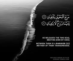 85 Beautiful Inspirational Islamic Quran Quotes Verses In English Don't forget to confirm subscription in your email. beautiful inspirational islamic quran