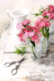 Pin By Sethie Scott On Flores Pretty Flowers Flower Arrangements Little Flowers
