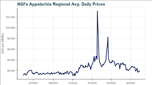 Image result for tbn:olEe_NlO2ly-vM::www.eeoc.gov/abouteeoc/plan/2006budget/chart3.png