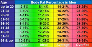Average Percent Body Fat Men Women Body Composition Explained