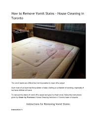 The smell of vomit can be hard to get out of carpet. How To Remove Vomit Stains House Cleaning In Toronto By House Cleaning Toronto Issuu