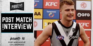Punting on collingwood vs port adelaide? Gvysg 418xeivm