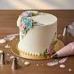 Cake Decorating Class for Beginners event in New Port Richey, FL