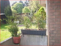 Garten Design 27 Tolle Hohe Pflanzen Als Sichtschutz O39p Garten Design Bambushecke Pflanzen