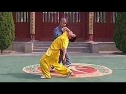 Pin On Tai Chi Qigong Training