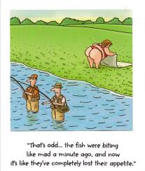 Funny Fishing Pictures Jokes