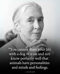 You cannot share your life with a dog or a cat and not know perfectly well  that animals have personalities and minds and feelings.