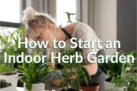 To start an herb garden, just start. How To Start A Home Herb Garden