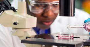 The chief executive of cancer research. How To Become A Cancer Research Scientist College Learners