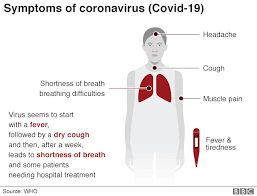 Coronavirus: How to understand the death toll - BBC News