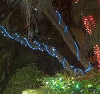 Rope Light Ideas for DIY Outdoor Lighting - Yard Envy