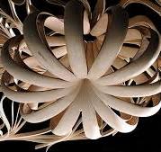 Bent Wood Objects by Joseph Walsh Studio Twist and Spiral ...