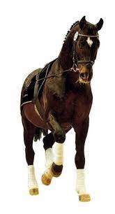 Maybe you would like to learn more about one of these? Sandro Hit Schwarz Schon Und Viele Sunden Wert Teil 1 Horse Gate