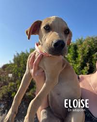 ACTUALIZACIÓN CASO DE ABANDONO‼️ Estuvimos en terreno junto a los cuatro  bebés de la Toma La Varilla que fueron abandonados en la Caleta San  Pedro📍. Pudimos alimentarlos y entregarle el saquito a