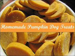 Homemade Pumpkin Dog Treats Great Gift Dog Food Recipes Dog Treat Recipes Homemade Dog Food