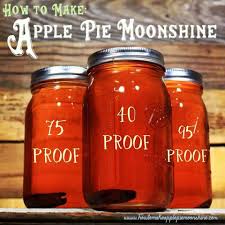 Apple Pie Moonshine Http Howtomakeapplepiemoonshine Com Apple Pie Moonshine Spice Kit Recip Moonshine Recipes Apple Pie Moonshine Apple Pie Moonshine Recipe