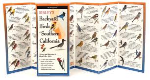 Finches, finches and more finches. Sibley S Backyard Birds Of Southern California By Written Illustrated By David Allen Sibley