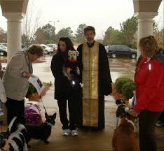 When our beloved pets get lost, injured, sick or deceased, we're truly devastated. Blessing Of The Animals Prayer Ceremony St Modestus St Francis