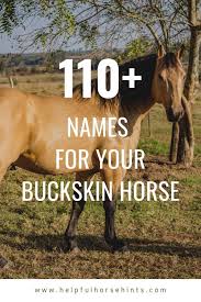Final dimensions (width x height): 52 Horse Colors Buckskin Horses Ideas Horses Horse Coloring Buckskin Horse