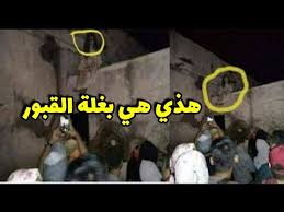 هذي هي بغلة القبور من اقوى قصص الرعب حقيقة بغلة القبور حقائق صادمة Youtube