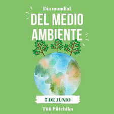El medio ambiente en colombia y en el mundo requiere de una acción inmediata y grandes cambios para poder garantizar su cuidado y supervivencia. Dia Mundial Del Medio Ambiente Tuu Putchika