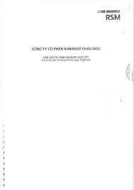 CÔNG TY CỔ PHẦN SONADEZI CHÂU ĐỨC - BÁO CÁO TÀI ...