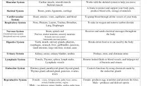 organ system and function chart bedowntowndaytona com