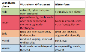 Ein pool sollte wenmöglich nicht im partnerschaftsbereich stehen da wasser diesen bereich negativ belastet. Feng Shui Und Die Wirkung Der Pflanzen