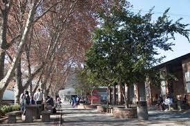 Johannesburg cape town durban port elizabeth which course are you applying for? Afda Cape Town Campus