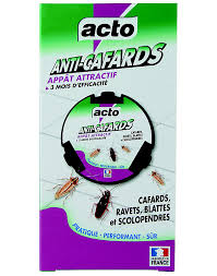 Maybe you would like to learn more about one of these? Appat Anti Cafards Castorama