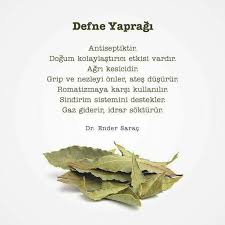 Nese Nin Gozdeleri Saglikli Yasam Tarzi Dogal Saglik Saglikli Yasam