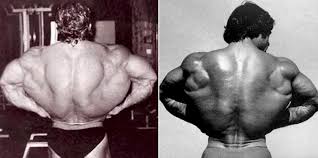 The massive muscle anatomy and body building guide you always. Best Old School Back Workouts Fitness Volt